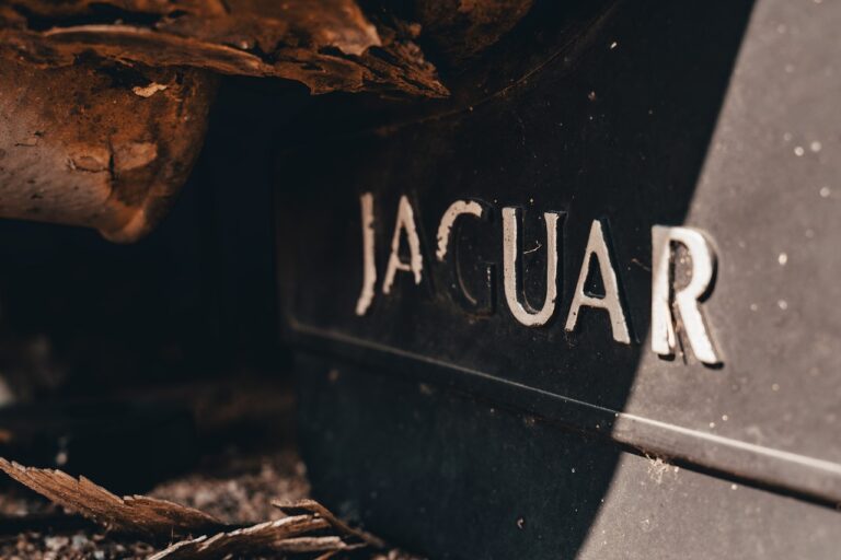 Exploring the Potential of Vehicle-to-Everything (V2X) Security Protocols for Data Privacy