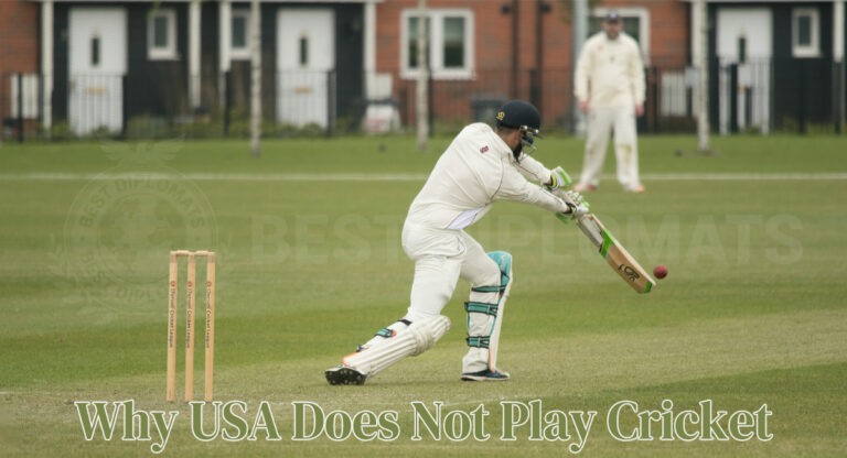 Allpaanel and Earthbetz: Top Picks for Online Betting Enthusiasts