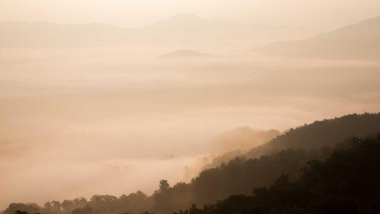 What Does ?Welcome To Cricbet99 Win Login? Mean?